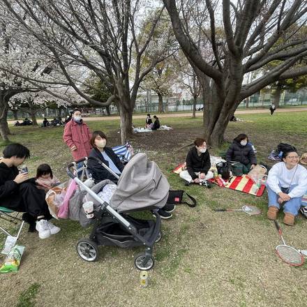 春はみんなで近くの公園へお花見に